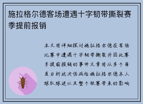 施拉格尔德客场遭遇十字韧带撕裂赛季提前报销